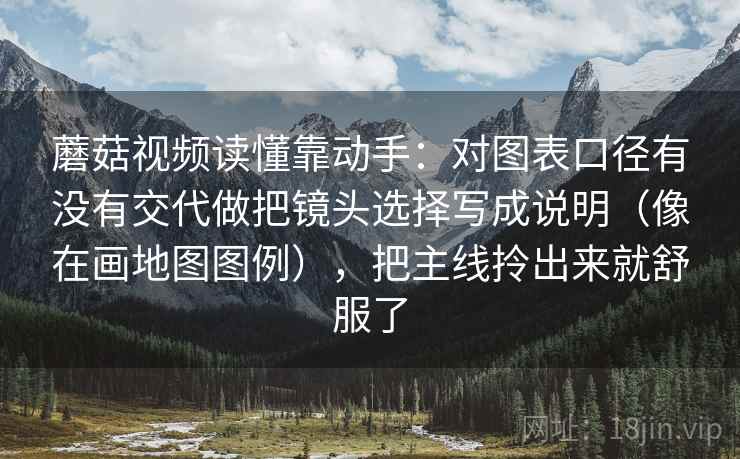 蘑菇视频读懂靠动手：对图表口径有没有交代做把镜头选择写成说明（像在画地图图例），把主线拎出来就舒服了